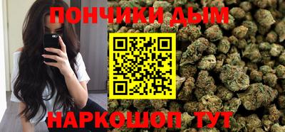индика Можайск