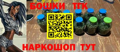 индика Можайск