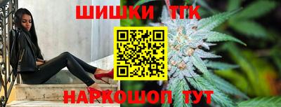 индика Можайск