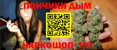 индика Можайск