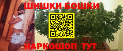индика Можайск