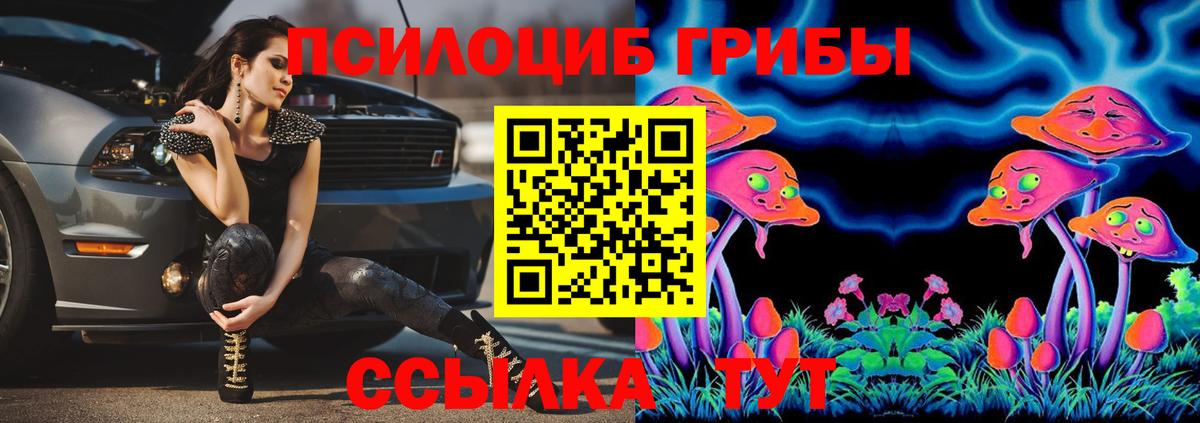 Галлюциногенные грибы Psilocybe  наркотики  Ялта  Вход с VPN 