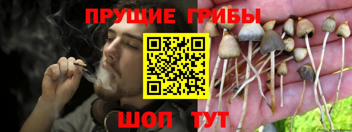 Галлюциногенные грибы прущие грибы Ялта